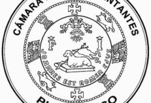 LogoCamara BN